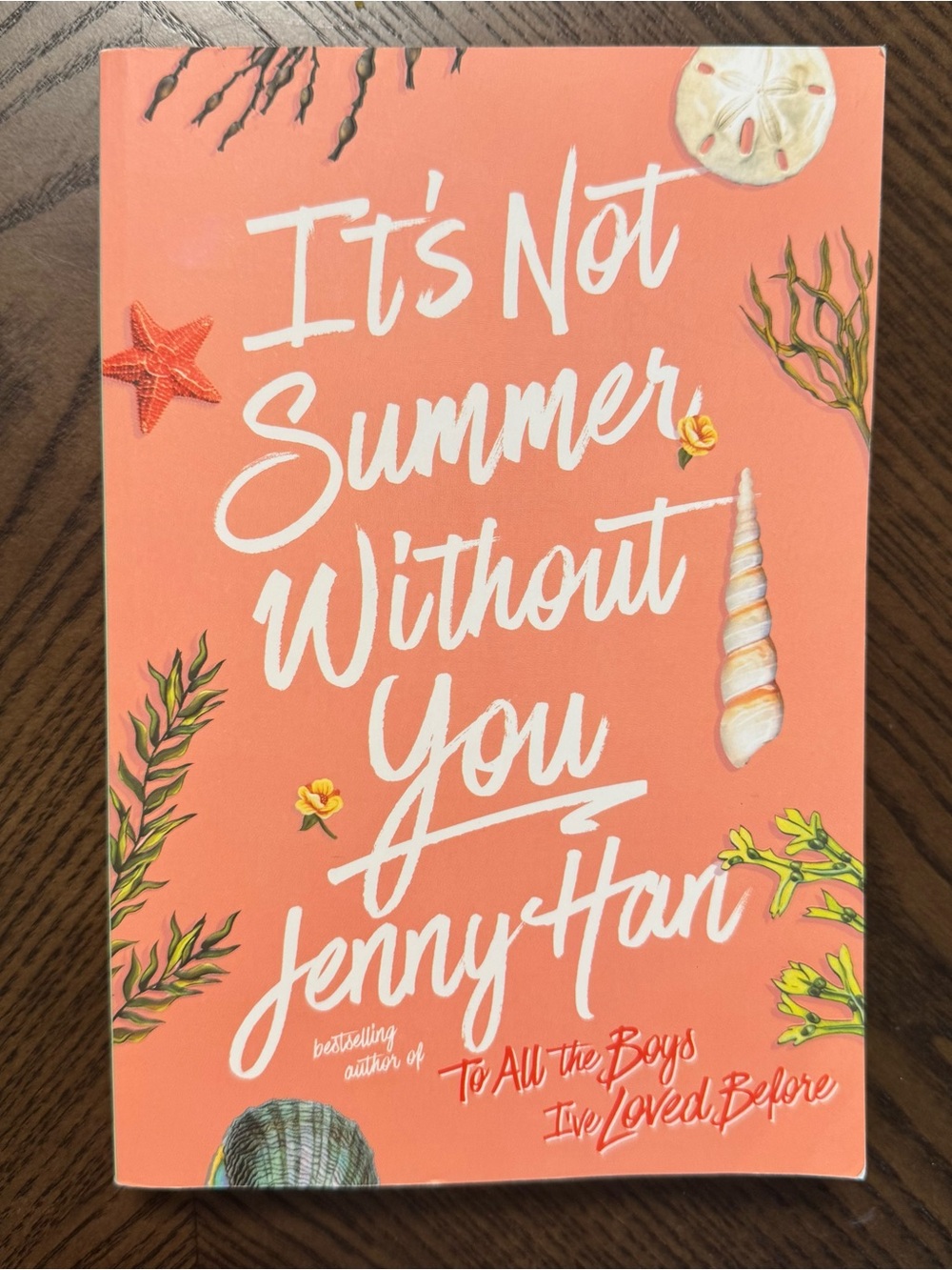 “It’s Not Summer Without You” by Jenny Han in very good condition